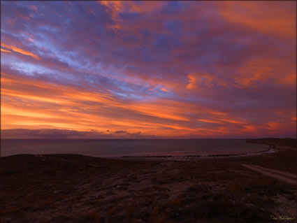 Goulet Bluff - Shark Bay - WA (PBH3 00 4974)