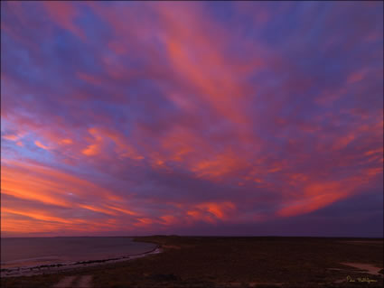 Goulet Bluff - Shark Bay - WA (PBH3 00 4975)