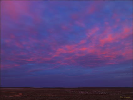 Goulet Bluff - Shark Bay - WA (PBH3 00 4977)