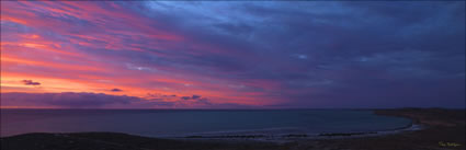 Goulet Bluff - Shark Bay - WA  (PBH3 00 4979)