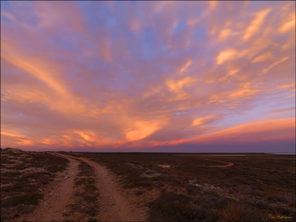 Goulet Bluff - Shark Bay - WA SQ (PBH3 00 4972)