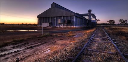 Grain Storage - Quandialla - NSW (PBH3 00 17716)