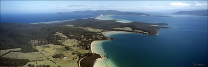 Great Bay - Bruny Island - TAS (PB00 5318)