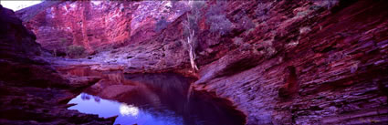 Hamersley Gorge - WA (PB00 4215)