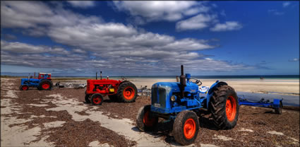 Hardwicke Bay Tractors - SA T (PBH3 00 31029)