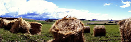 Hay Bales Close - TAS (PB00 1757)