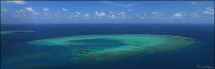 Helsdon Reef - QLD (PBH3 00 13466)