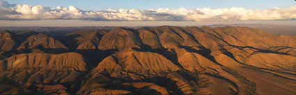 Heysen Range - SA (PBH3 00 19193)