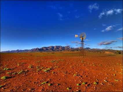 Heysen Range - SA SQ (PBH3 00 19680)