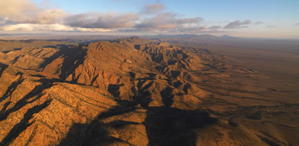 Heysen Range - SA T (PBH3 00 19189)