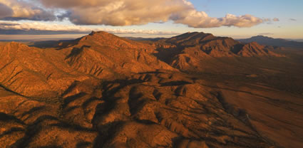 Heysen Range - SA T (PBH3 00 19195)