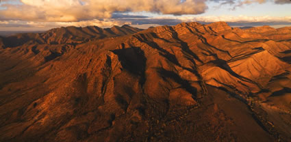 Heysen Range - SA T (PBH3 00 19202)