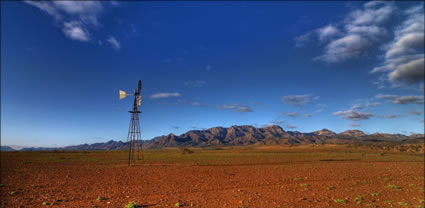 Heysen Range - SA T (PBH3 00 19689)