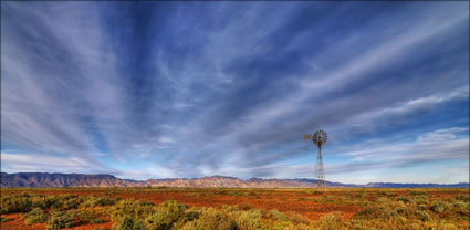 Heysen Range - SA T (PBH3 00 22094)