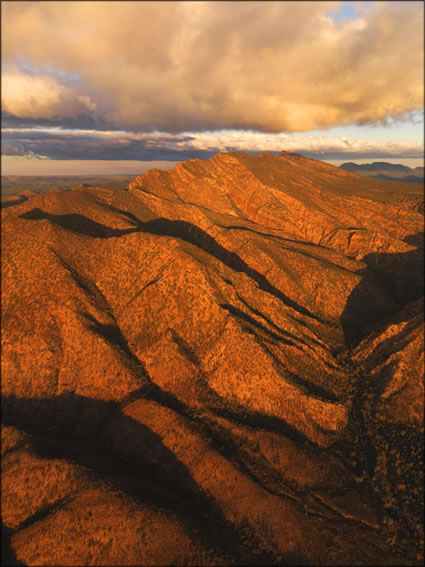 Heysen Range - SA T V (PBH3 00 19196)