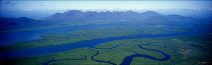 Hinchinbrook Island Mangroves 2 - QLD (PB00 2432)