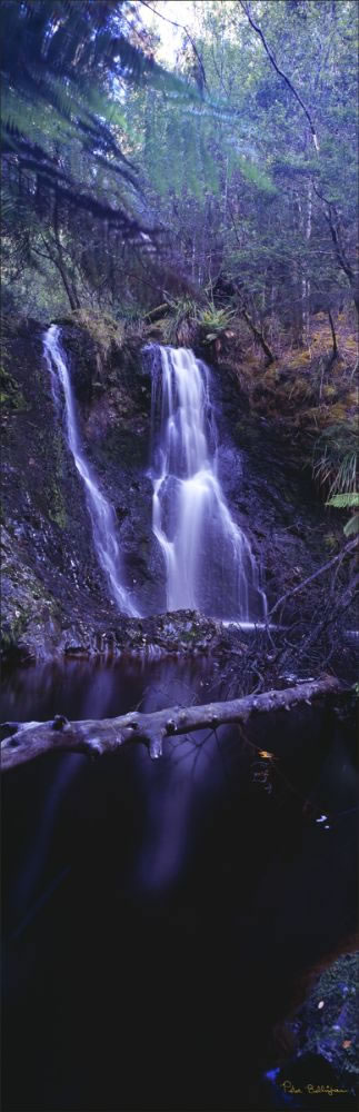 Hogarth Falls - Strahan - TAS (PB00 5628)