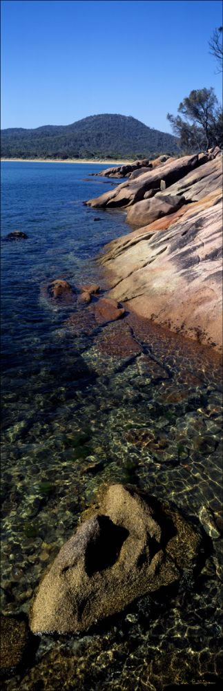 Honeymoon Bay Rocks Vertical - TAS (PB00 3864)