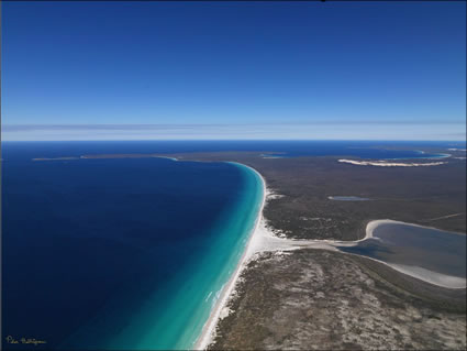 Hood Point - Bremer Bay - WA SQ (PBH3 00 3459)