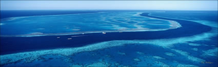 Hook and Hardy Reef - QLD