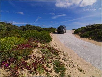 Innes National Park - SA SQ (PBH3 00 30257)