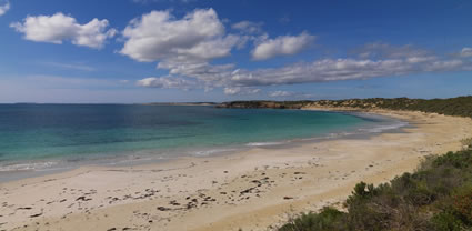 Innes National Park - SA T (PBH3 00 30310)