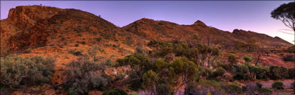 Jacob Range - Arkaroola - SA (PBH3 00 18336)