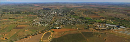 Junee - NSW (PBH3 00 16887)