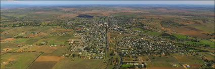 Junee - NSW (PBH3 00 16888)