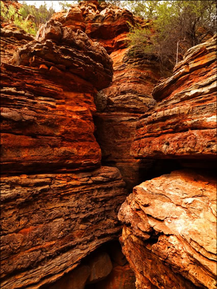 Kalbarri - WA (PBH3 00 5105)