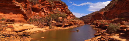 Kalbarri - WA (PBH3 00 5123)