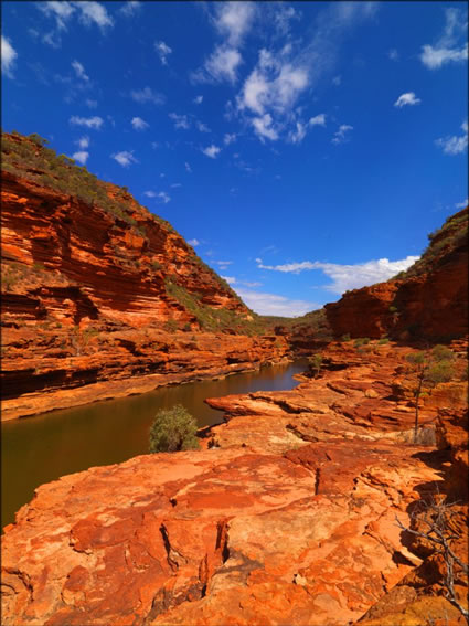 Kalbarri - WA (PBH3 00  5127)