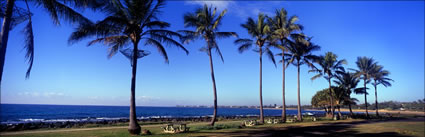 Kellys Beach Bargara - QLD (PB00 4555)