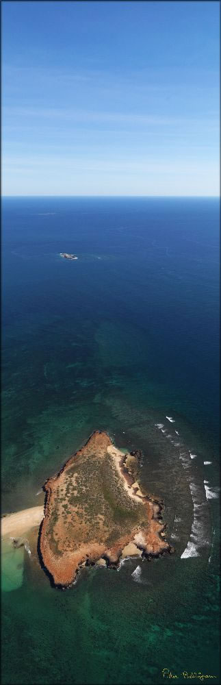 Kendrew Island - Dampier - WA (PBH3 00 9610)