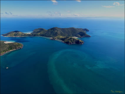 Keswick Island - QLD (PBH3 00 2390)