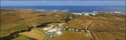 King Island Dairy - TAS (PBH3 00 25585)