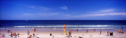 Kings Beach Flag - Caloundra - QLD (PB00 3692)
