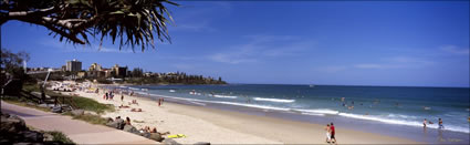 Kings Beach Pandanus 2 - QLD (PB00 3691)