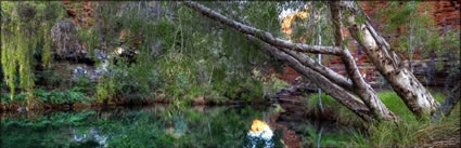 Knox Gorge - Karijini NP - WA H (PBH3 00 9174)