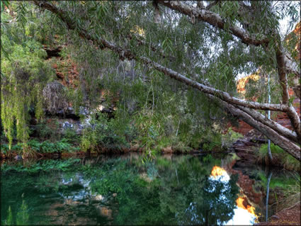 Knox Gorge - Karijini NP - WA SQ (PBH3 00 9174)