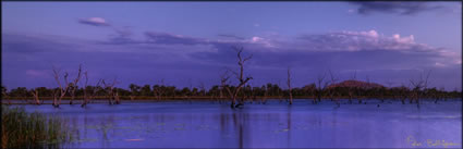 Kununurra - WA (PBH3 00 11939)