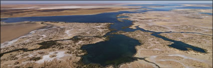 Lake Macleod - Carnarvon - WA (PBH3 00 7723)