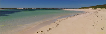 Lancelin - WA (PBH3 00 5296)