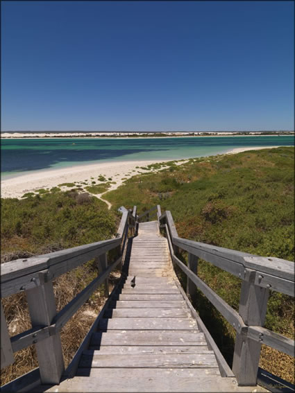 Lancelin - WA (PBH3 00 5302)