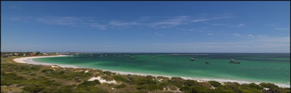 Lancelin - WA (PBH3 00 5318)