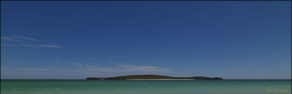 Lancelin Island - WA (PBH3 00 5315)