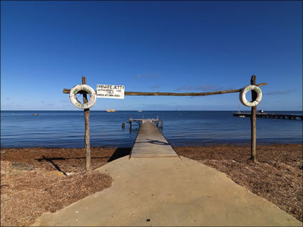 Leeman Jetty - WA SQ (PBH3 00 4375)