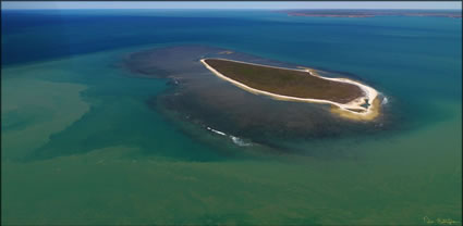 Lesueur Island - WA T (PBH3 00 12063)