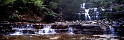 Liffey Falls 1 - TAS (PB00 4406)