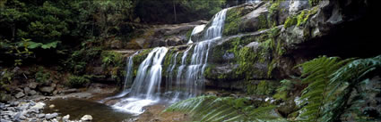 Liffey Falls 3 - TAS (PB00 4408)